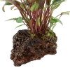 6558-4-2-222.png.webp
