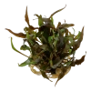 6565-3-10-6.png.webp