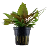 6568-2-3-81.png.webp
