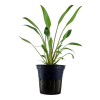 6575-2-2-188.png.webp