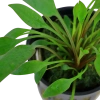 6575-3-89217.png.webp