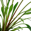 6575-4-1-67.png.webp