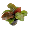 6653-2-2-189.png.webp
