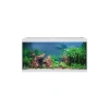 6660-eheim-aquastar-54-led-white-2.jpg.webp
