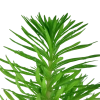 6830-053f-pot-227-64180a93cce985-61946522-053f-2-png-2.png.webp