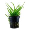 6832-2-9-507.png.webp