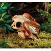 exo-terra-buffalo-skull-3.jpg