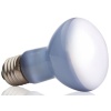 exo-terra-daylight-25w-z-1.jpg