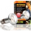 exo-terra-intense-baskin.jpg