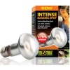 exo-terra-intense-baskin-5.jpg