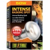 exo-terra-intense-baskin-7.jpg