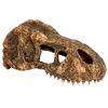 exo-terra-t-rex-skull-cz-1.jpg