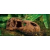 exo-terra-t-rex-skull-cz-3.jpg