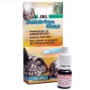 jbl-schildkroetenglanz-p-1.jpg
