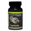komodo-calcium-supplemen-3.jpg