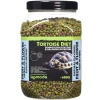 komodo-tortoise-diet-fru-10.jpg