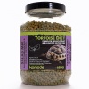 komodo-tortoise-diet-sal-14.jpg