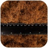 errario-terra-bedding-5l-2.jpg