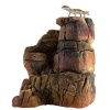 terrario-sunrock-xl-polk-1.jpg