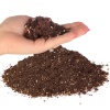 terrario-supai-oya-soil-2.jpg
