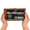 terrario-wild-peru-earth-2.jpg