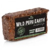 terrario-wild-peru-earth.jpg