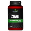 terrario-bozza-calcium-w-29.jpg