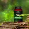 terrario-bozza-calcium-w-31.jpg