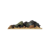 71140007-11771-63b2b1e12dc077-10918534-everglades-png.png