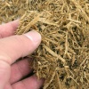 zoomed-forest-floor-88l-7.jpg