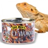 zoomed-can-o-crickets-po-11.jpg