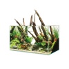 ScaperLine-60-AquariumINT-600x450.jpg