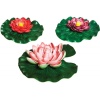 pontec-pondolily-set-3-p.jpg