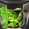 repti-zoo-terrarium-z-al-28.jpg