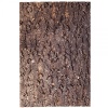 repti-zoo-big-tree-backg-55.jpg