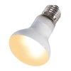 repti-zoo-beam-spot-50w-6.jpg