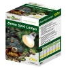 repti-zoo-beam-spot-50w-7.jpg