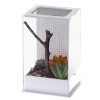 repti-zoo-mantis-box-l-t-10.jpg