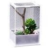 repti-zoo-mantis-box-l-t-18.jpg