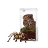 repti-zoo-terrarium-akry-18.jpg