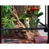 repti-zoo-terrarium-rk-4-27.jpg