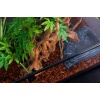 repti-zoo-terrarium-rk-9-42.jpg