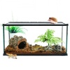 repti-zoo-terrarium-ak-2-61.jpg