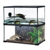 repti-zoo-terrarium-ak-2-58.jpg
