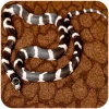 repti-zoo-carpet-mat-pod-71.jpg