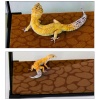 repti-zoo-carpet-mat-pod-73.jpg