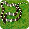 repti-zoo-carpet-mat-pod-76.jpg