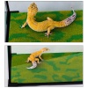 repti-zoo-carpet-mat-pod-78.jpg