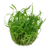 079-tc-2.png