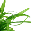 079-tc-3.png